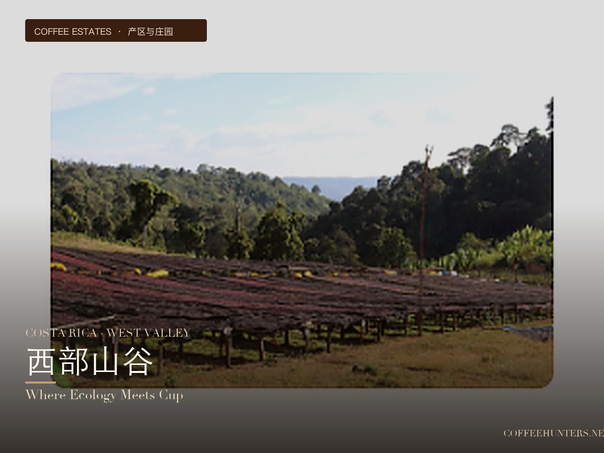 Costa Rica · Western Valley: A Representative of Ecological Specialty