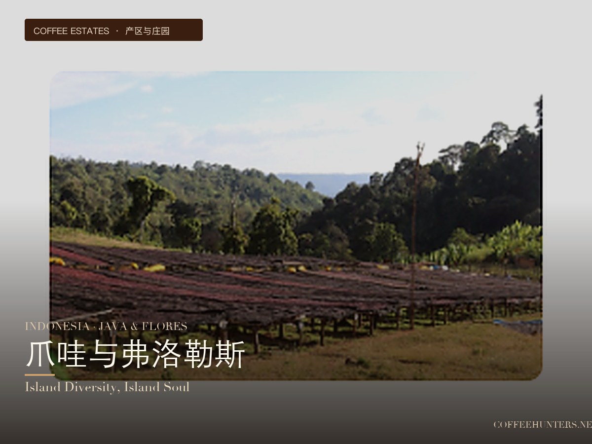Indonesia: Java and Flores — Diverse Island Flavors