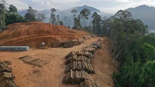 USDA Report: Global Coffee Production 2023/24 Seen Rising to 171.4 Million Bags