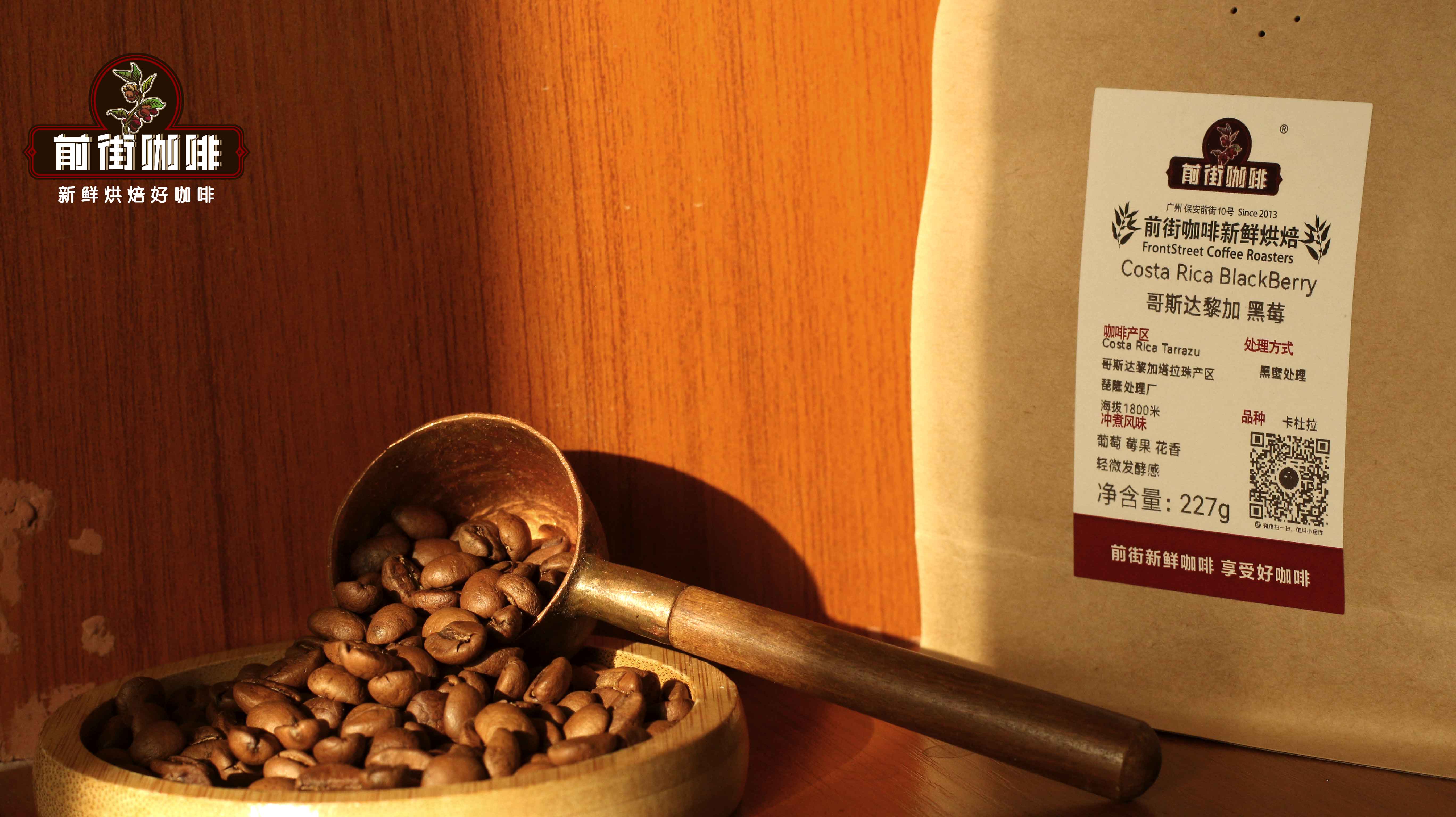Coffee Beans as Gifts | What Are the World's Top Ten Mainstream Specialty Coffees? Must-Buy Affordable yet High-End Single-Origin Pour-Over Coffee Recommendations for Beginners