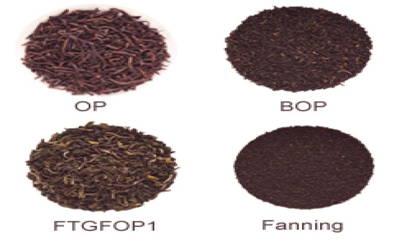 散叶茶OP红茶对比茶包碎叶茶：等级高低与滋味差异解析
