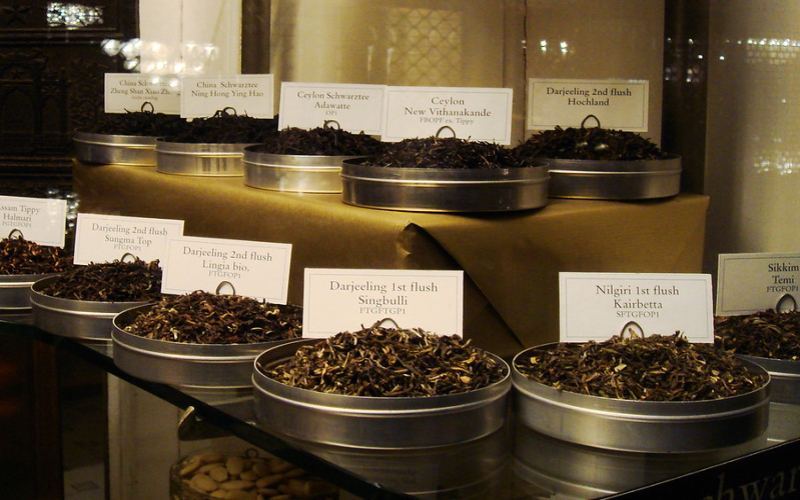 大吉岭顶级红茶庄园品牌解析：格伦本茶园种植环境与最佳旅行季节指南