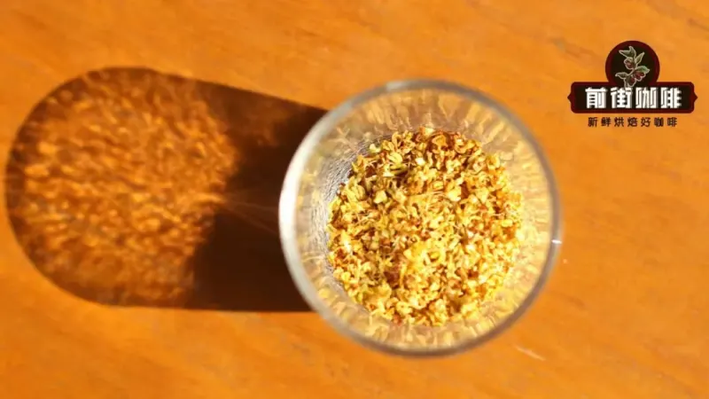 秋日桂花咖啡特调指南：冷萃、美式与拿铁的家常做法及风味解析