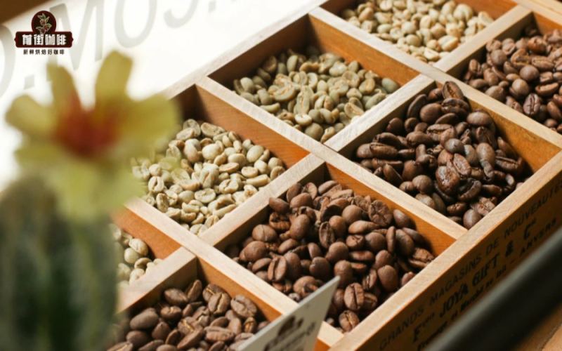 Cold Brew Coffee Single-Origin Bean Recommendations | What's the Difference Between Cold Brew and Iced Coffee? How Many Days Can Cold Brew Coffee Be Stored in the Fridge? How to Make a Single Serving of Cold Brew?