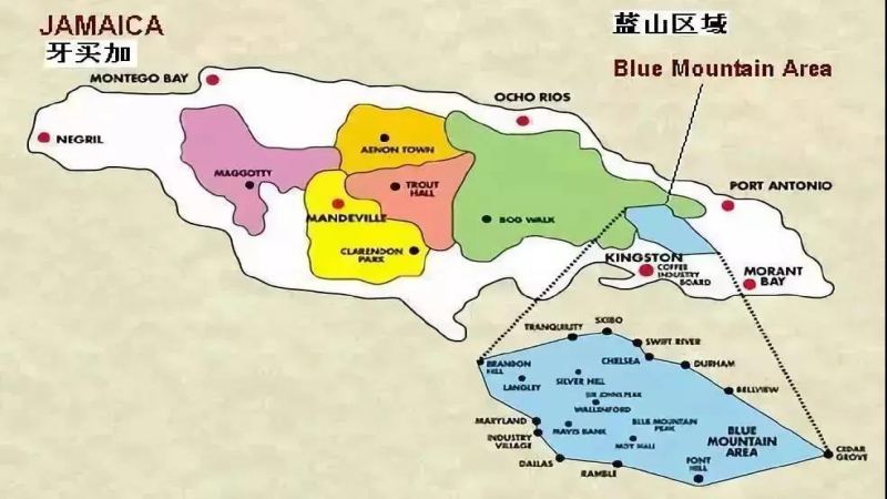 牙买加蓝山咖啡手冲实操：从豆种辨别到粉水比与三段式注水详解