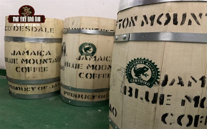 Which tastes better, a blend or an SOE? Choose by roast level to better suit your taste.