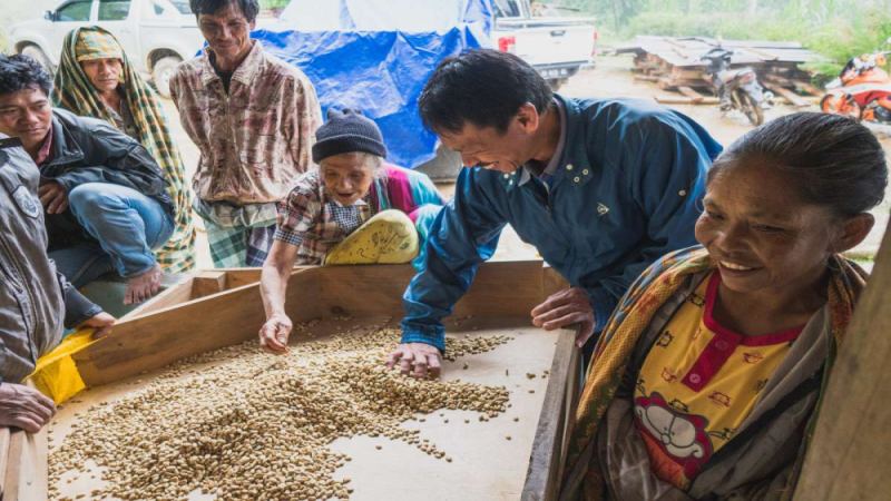 Indonesian Golden Mandheling Coffee Flavor Analysis: How PWN Certification and Wet-Hulling Shape a Rich, Low-Acid Taste