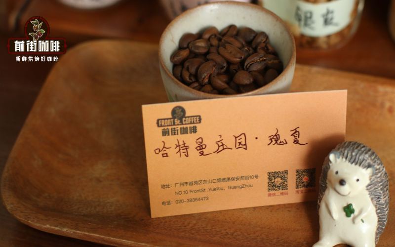 Exploring Panama Vocan Hartmann Estate: Flavor Code and Brewing Analysis of Anaerobic Natural Geisha