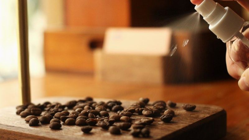 The Flavor Window and Drinking Rhythm of Moka Pot Coffee Beans