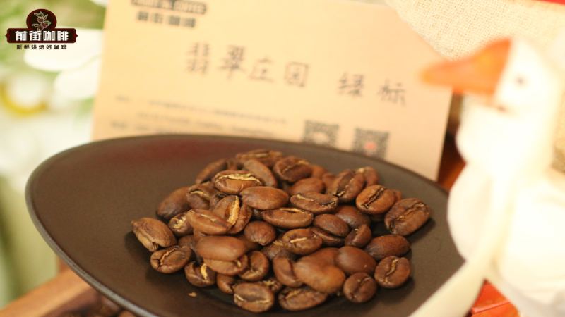巴拿马瑰夏咖啡深度测评：从获奖庄园豆到手冲冰咖啡完整解析