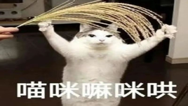 意式拼配的核心原理与实操方法：从生拼熟拼到手冲拼配的完整思路