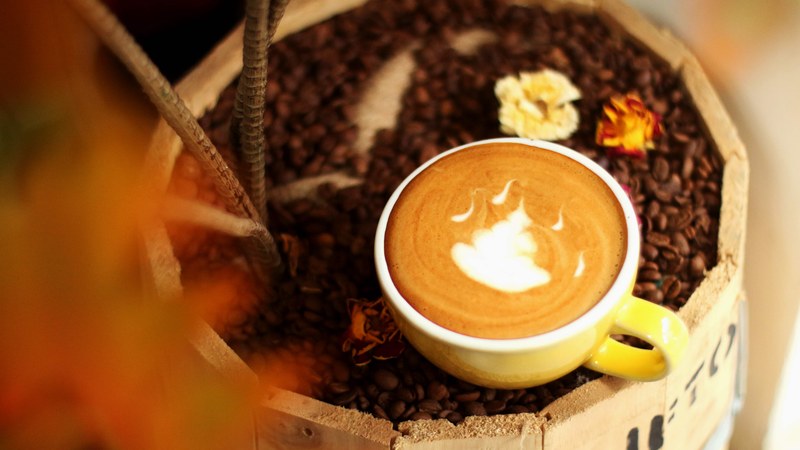 Recommended light roast beans: balancing budget and drinking frequency

