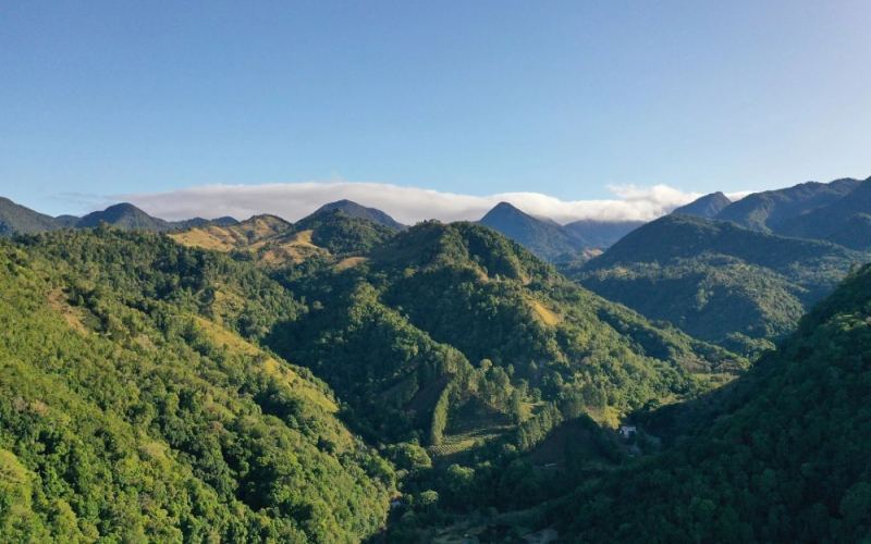 巴拿马波奎特产区与巴鲁火山：瑰夏咖啡的风味密码及手冲技巧