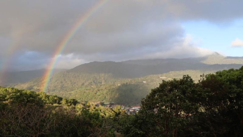 Finca Sophia: The Path of a High-Altitude Rising Star to the BOP Podium