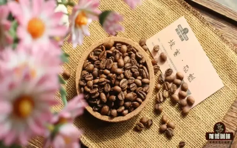 Ethiopian Sidamo Sun-Dried Huakui | Single-Origin Coffee Bean: Are Huakui, Gesha, and Geisha the Same Coffee Variety? What Is the Difference Between Huakui and Geisha?