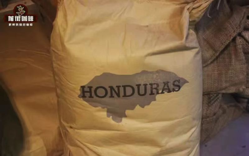 洪都拉斯咖啡手冲全攻略：酒桶发酵豆的冲煮技巧与产区风味解析