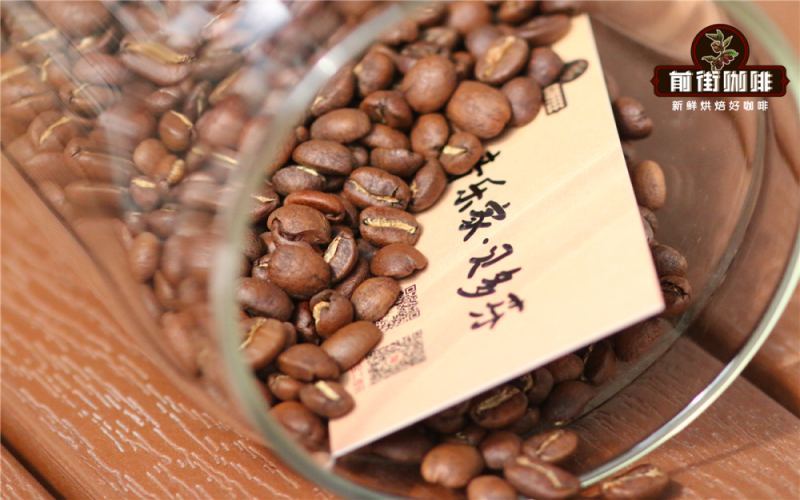 哥斯达黎加贝多芬咖啡豆：卡内特庄园水洗处理的风味与冲煮解析