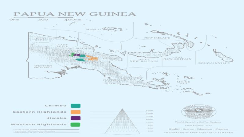 Terroir Conditions of Papua New Guinea Coffee Regions and Flavor Characteristics and Brewing Suggestions for Bird of Paradise Typica Coffee Beans