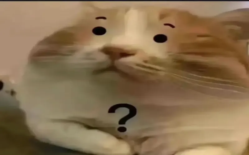 微批次咖啡品质一定更优吗？解析哥斯达黎加音乐家系列莫扎特独特风味