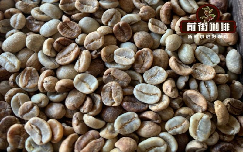 哥斯达黎加瑰夏双庄园对比：小烛与米拉苏的风味故事及品种特性解析