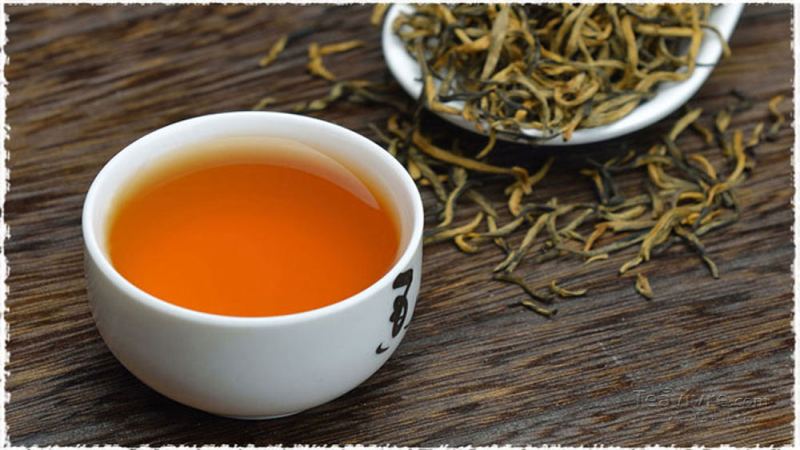 云南老树滇红如何冲泡出最佳风味？探秘其独特茶树品种与起源