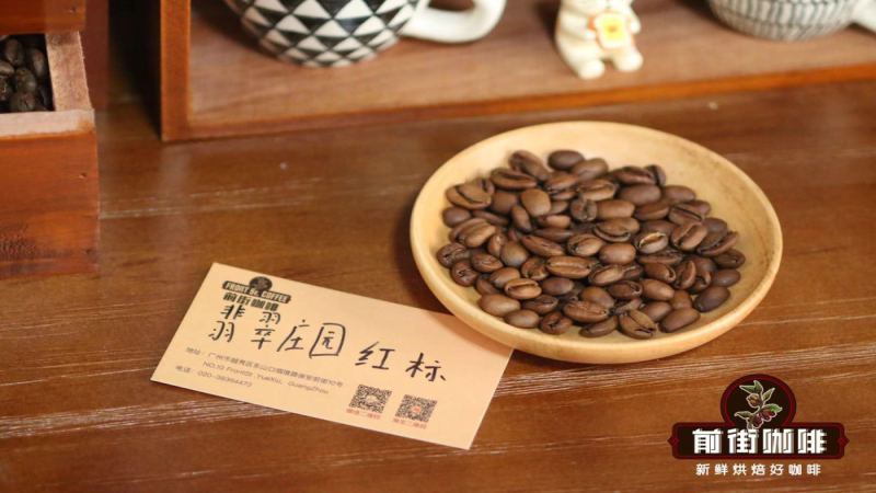 巴拿马翡翠庄园瑰夏分级详解：红标绿标蓝标差异与手冲风味全解析