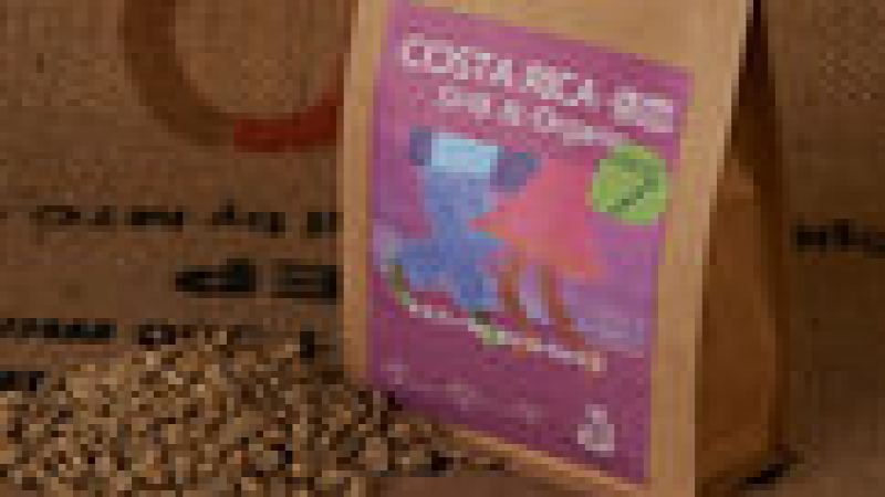 A Comprehensive Analysis of the Distribution and Flavor Characteristics of Costa Rican Coffee Bean Origins