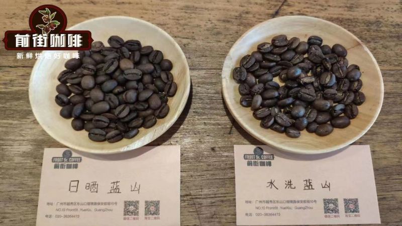 蓝山风味咖啡是什么？它与正宗牙买加蓝山咖啡豆究竟差在哪里