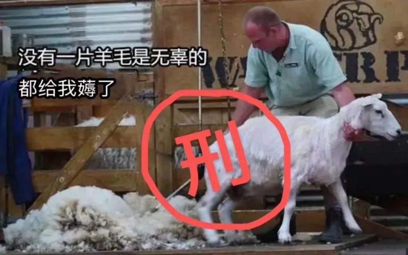 瑞幸低价订单风波法律解读：系统漏洞下的消费红线与平台责任