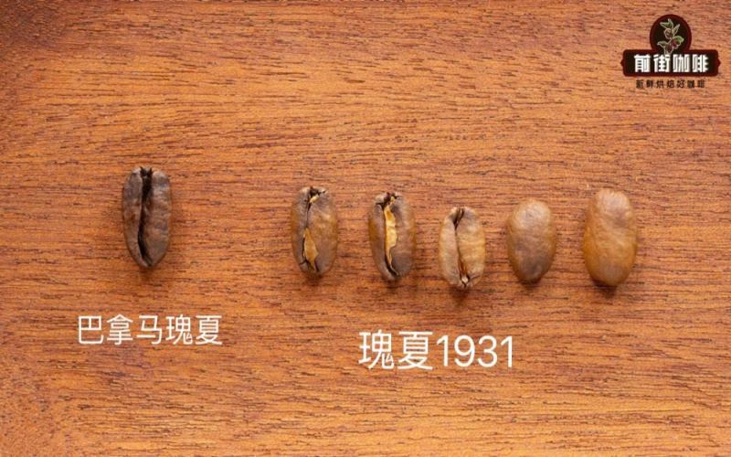 瑰夏咖啡全球各产区风味差异解析：埃塞俄比亚、巴拿马与哥斯达黎加对比