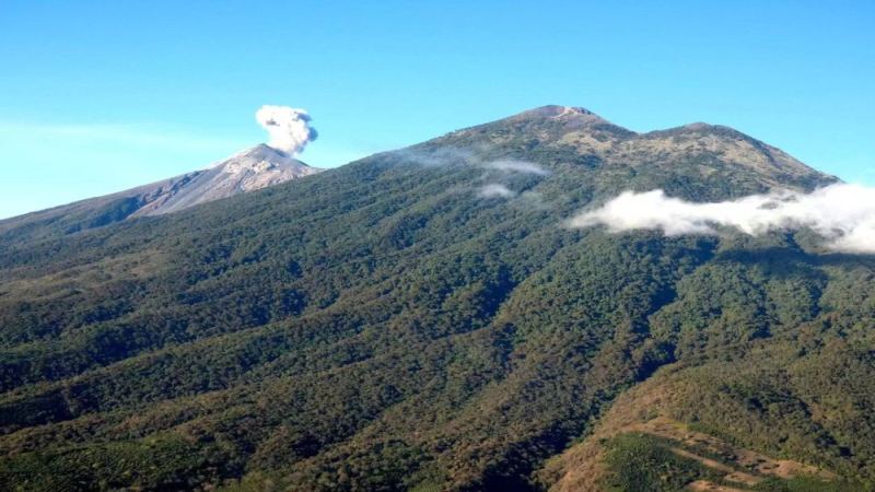 从玛雅故土到精品杯测：危地马拉咖啡产区、处理法与风味全解析