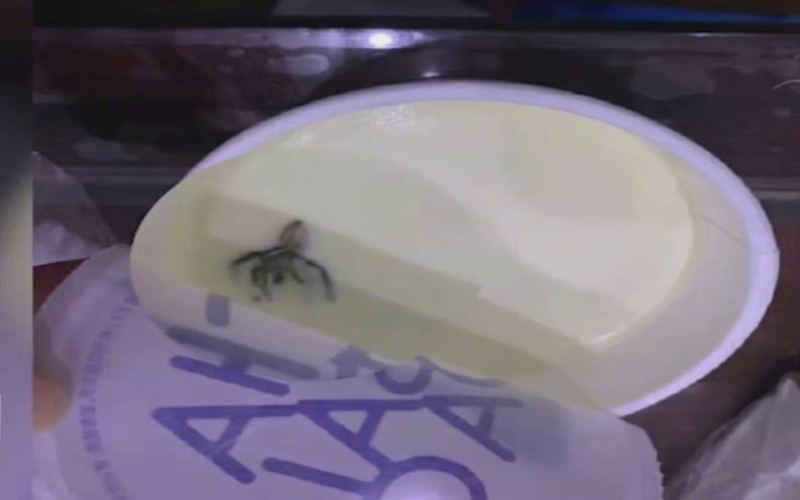 茶百道饮品再陷异物风波：蟑螂投诉与食安法索赔争议解析