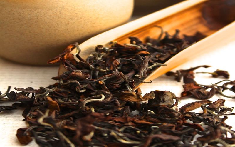 蜜香红茶原料茶树品种解析：小叶种疑问与云南古树红茶杏蜜香对比