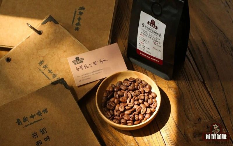 Choosing Authentic Blue Mountain by Roast Level: A Bean Selection Method from Light and Sweet to Rich and Full-Bodied
