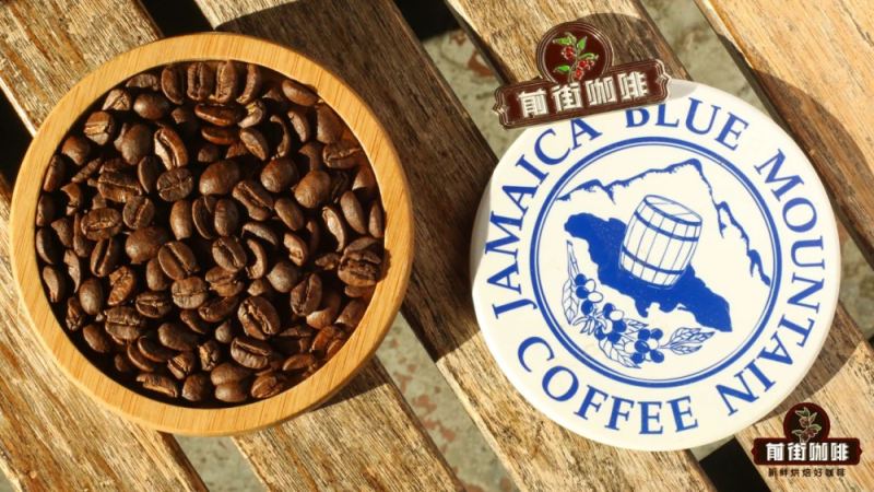 An Analysis of the Jamaican Blue Mountain Coffee Bean Grading System and Pricing Factors: Blue Mountain No. 1 Flavor Profile and Front Street Recommendation