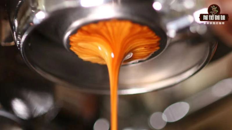 Origins of Espresso | What Are the Common Espresso Drinks? Introduction to Espresso Milk Drinks, Fancy Coffee, Espresso Extraction Ratios, and Preparation Steps