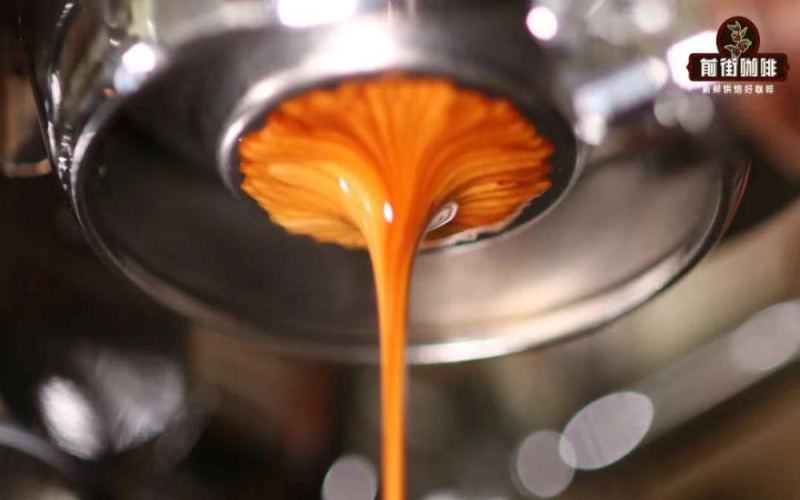 Origins of Espresso | What Are the Common Espresso Drinks? Introduction to Espresso Milk Drinks, Fancy Coffee, Espresso Extraction Ratios, and Preparation Steps