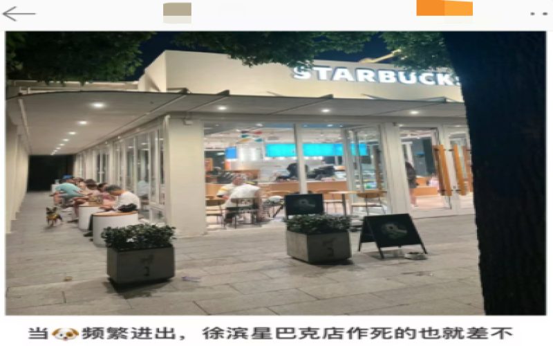 星巴克宠物友好门店引发争议：第三空间定位与顾客体验如何平衡