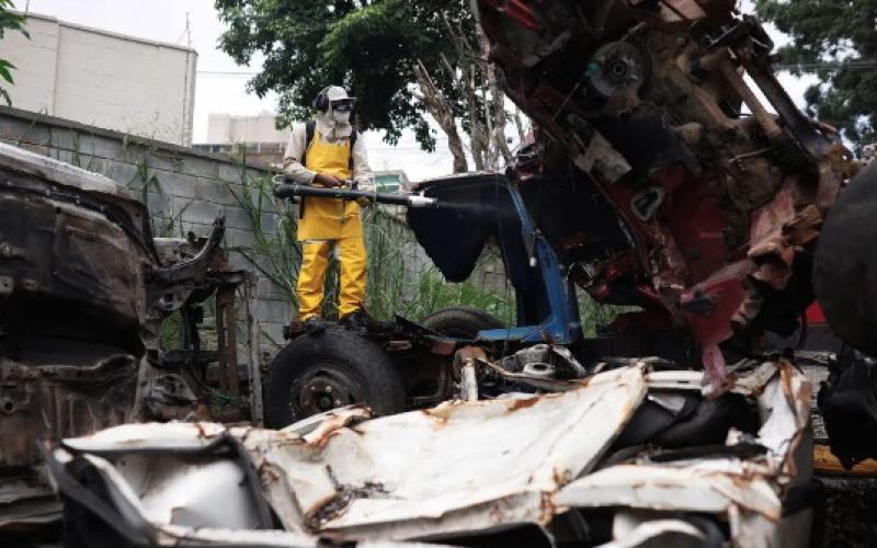 Multiple countries in the American region are welcoming a severe dengue fever season, and the coffee industry is facing a shortage of manpower.