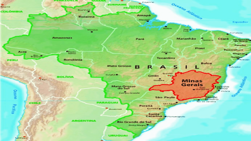 Characteristics of Brazilian Coffee Beans | Which origin does Brazilian specialty coffee come from? What coffee varieties are grown in Brazil? How to brew Brazil Queen Estate Yellow Bourbon?