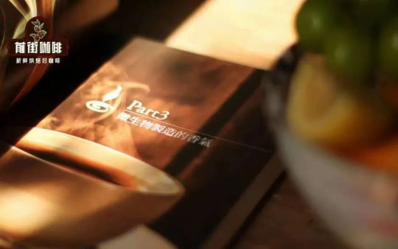 Coffee Flavor | Why Do Some Coffees Taste Like 