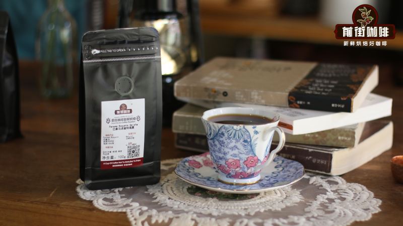 Geisha Coffee from Boquete, Panama: Flavor and Brewing
