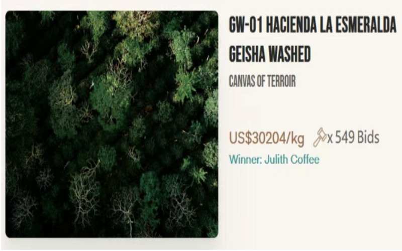 The Price of Panama BOP Geisha Reaches a New All-time High: Chinese Buyer JD Buys the BOP Geisha King for 3.4 Million RMB