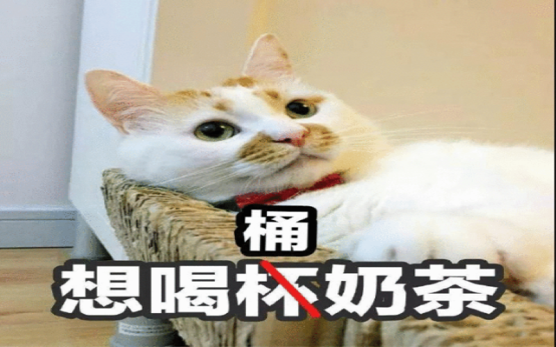 从5升巨桶到1升便携装：桶装茶饮如何成为今夏新潮流