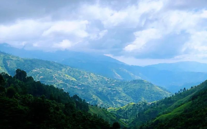 牙买加蓝山咖啡价格高昂的原因与风味特征全面解析