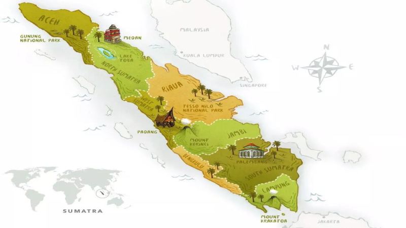 A Comprehensive Analysis of Indonesian Mandheling Coffee: Sumatra Region Varieties, Wet-Hulling Processing, and Flavor Grinding Characteristics

