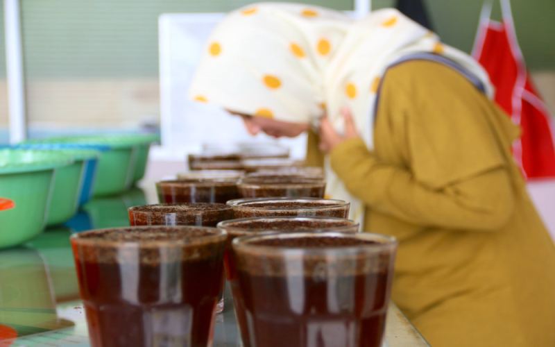 Characteristics of Premium Mandheling | Why is Golden Mandheling cleaner and free of off-flavors compared to Lintong Mandheling? Recommendations for high-value, great-tasting, non-bitter Indonesian Mandheling pour-over coffee beans