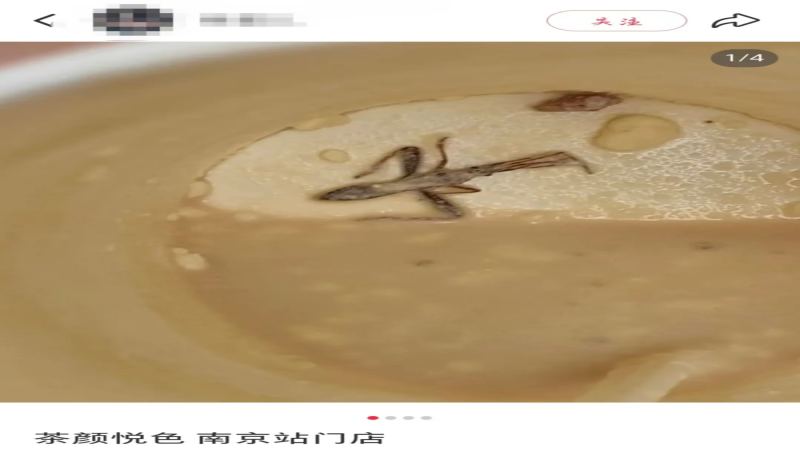 顾客称茶颜悦色幽兰拿铁杯底发现完整虫子，品牌回应称离店后进入