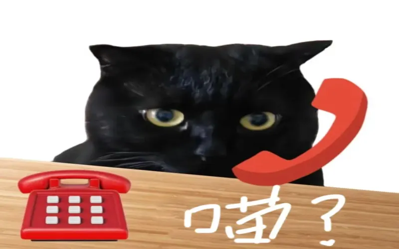 咖啡豆出油是品质信号还是变质前兆？深入解析烘焙度对出油速度的影响