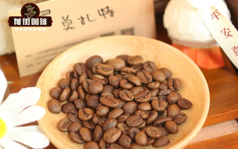 Introduction to Iced Coffee | Are Cold Drip Coffee and Cold Brew Coffee Extraction Principles the Same? What Affordable Specialty Cold Drip Coffee Beans Are Recommended for Beginners?

